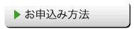 ���\���ݕ��@